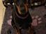 Dobermann Dobergaarden Forever Irish