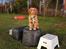 Nova scotia duck tolling retriever Chance