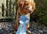 Nova scotia duck tolling retriever Chance