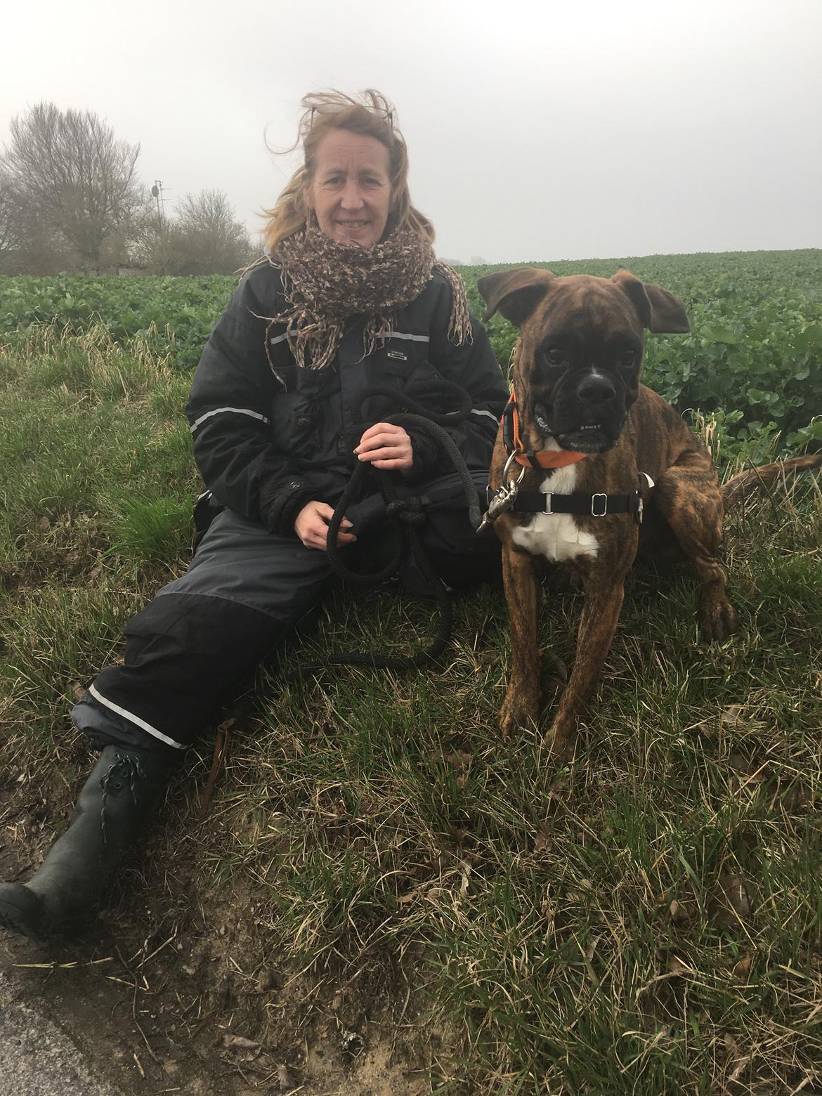 Boxer Buster baby billede 12