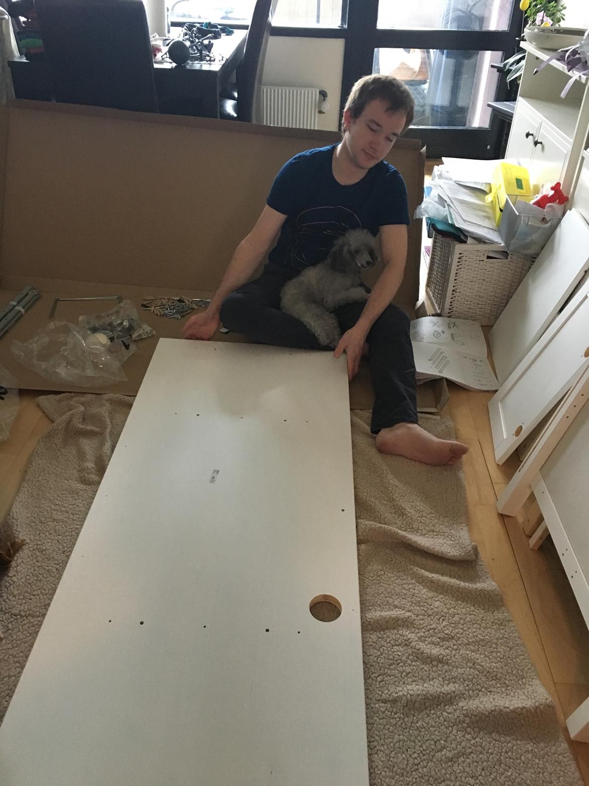 Dværgpuddel Kiwi - Nogle skal være sikker på han gøre det ordentligt😜😜 billede 47