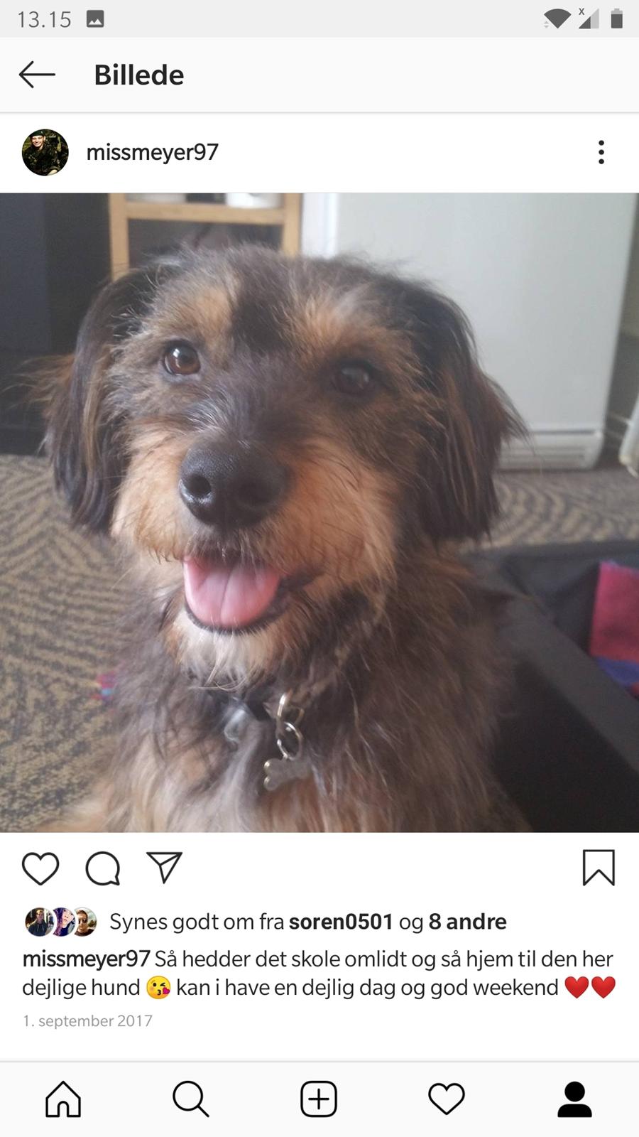 Blanding af racer Bobby billede 1