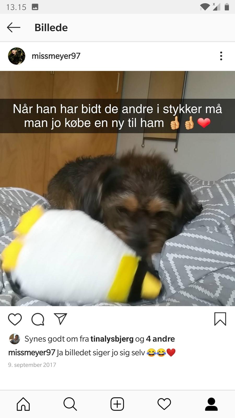 Blanding af racer Bobby billede 2