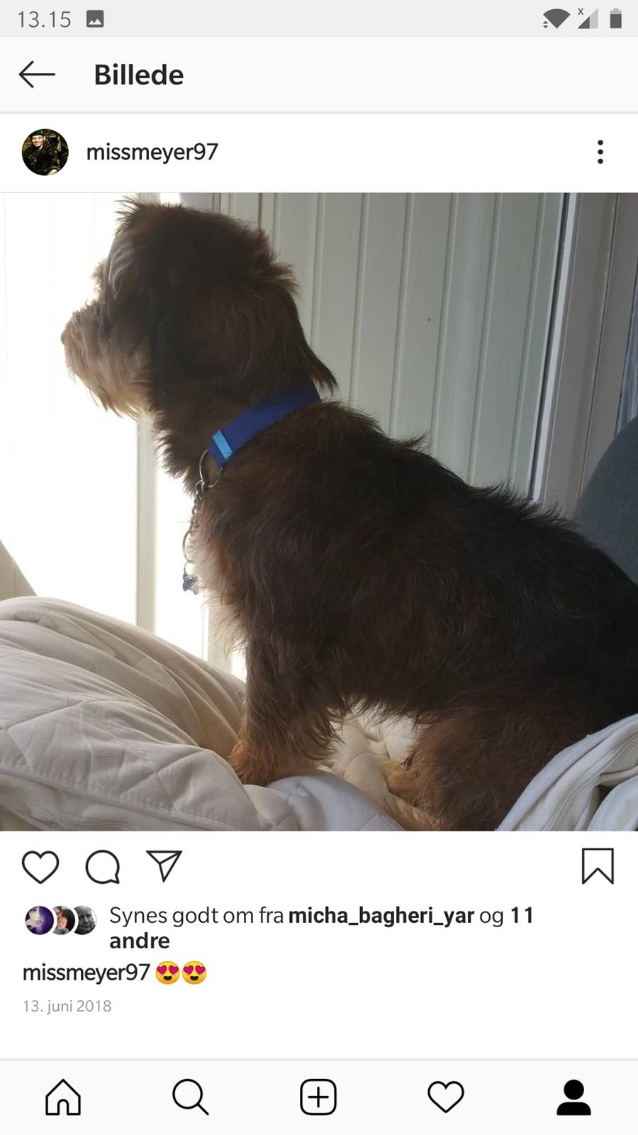 Blanding af racer Bobby billede 4