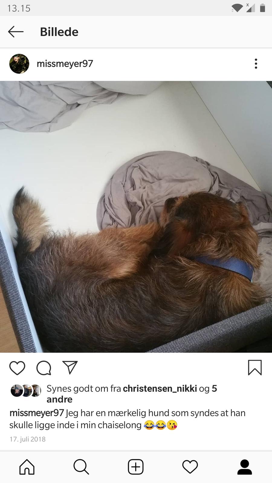 Blanding af racer Bobby billede 5