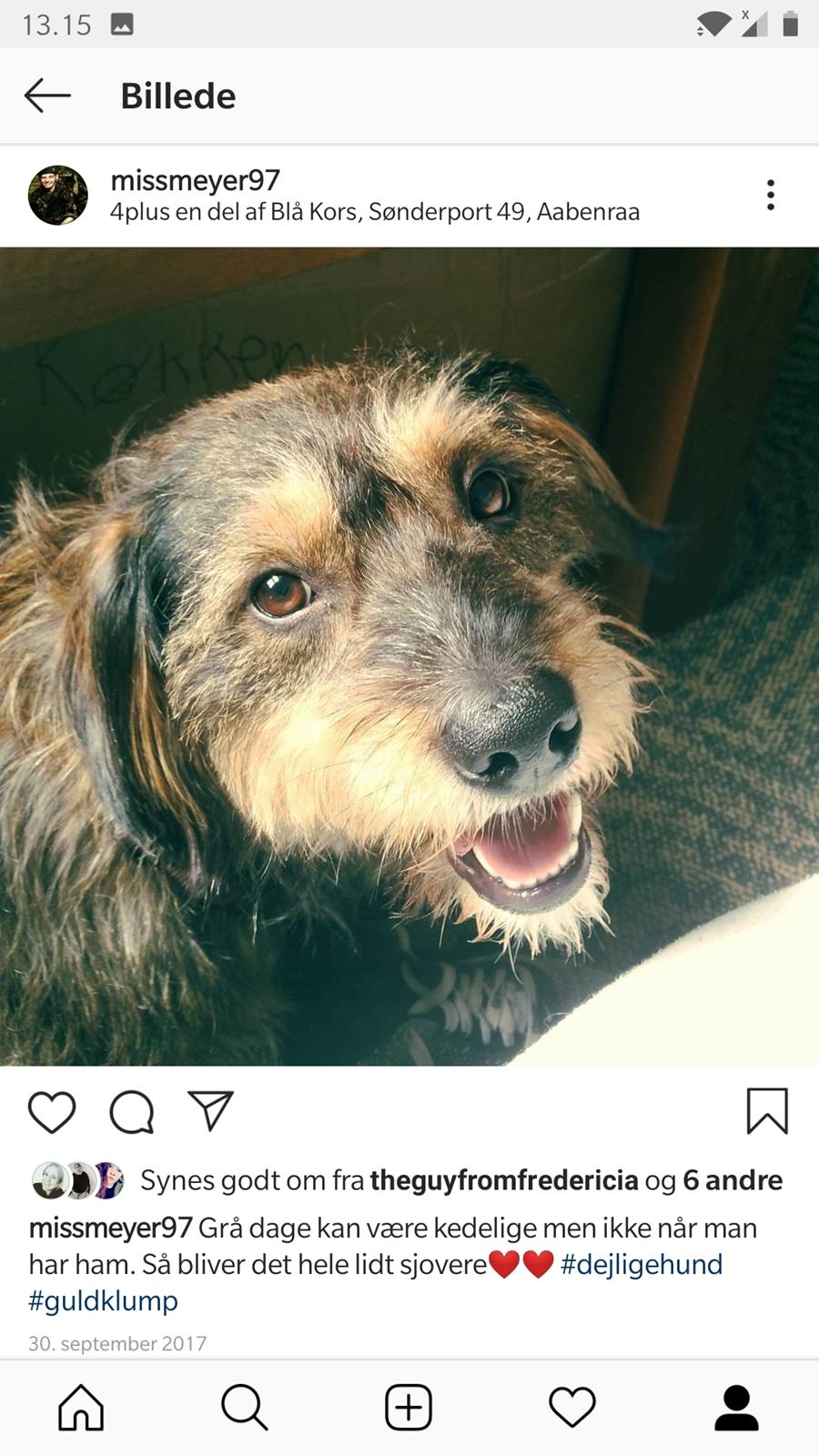 Blanding af racer Bobby billede 3