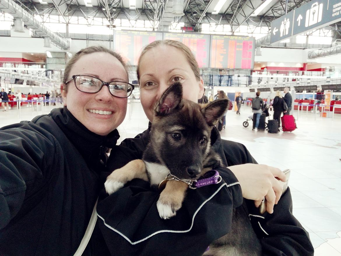 Kishu Amaterasu sai-no kawara billede 5