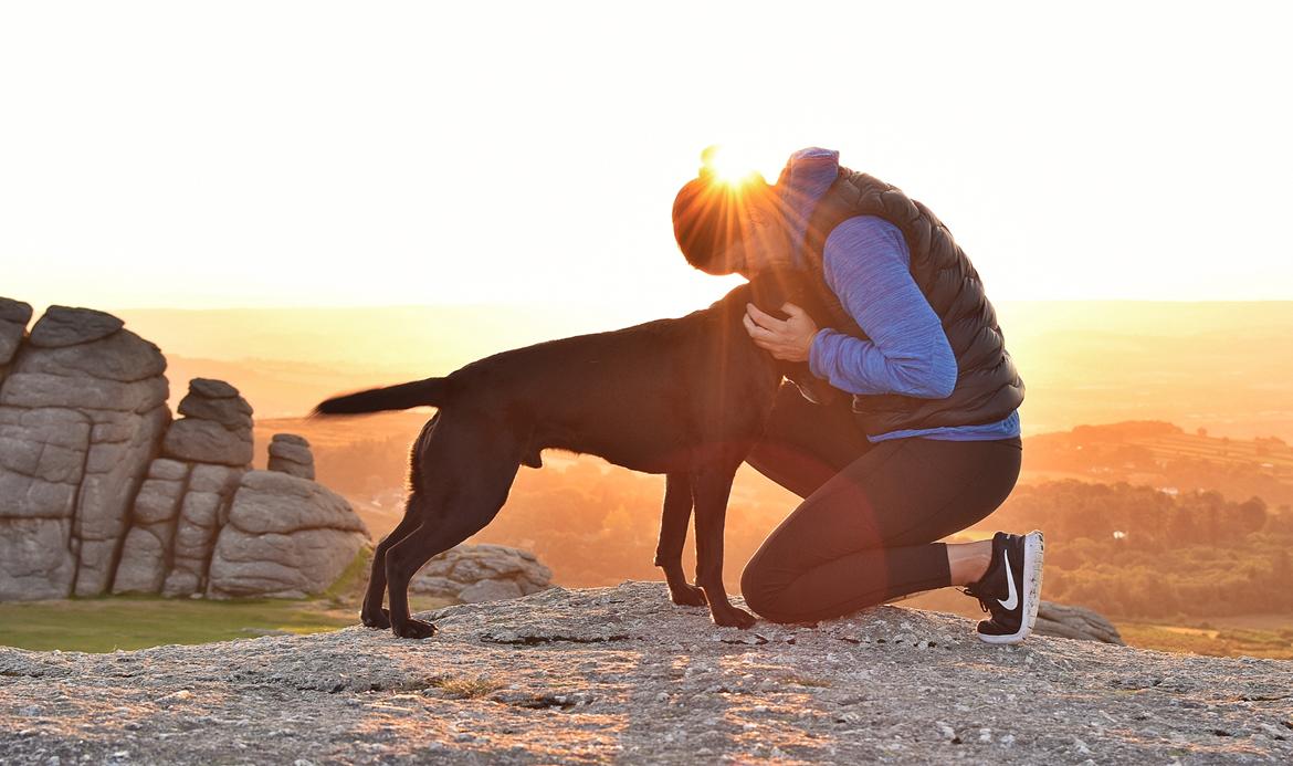 Labrador retriever Junior billede 28