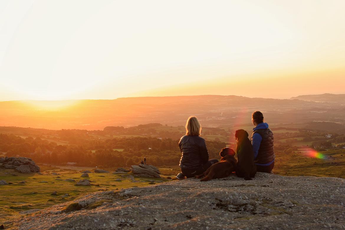 Labrador retriever Junior billede 38
