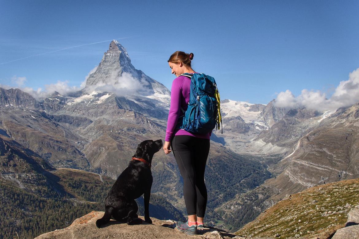 Labrador retriever Junior billede 42