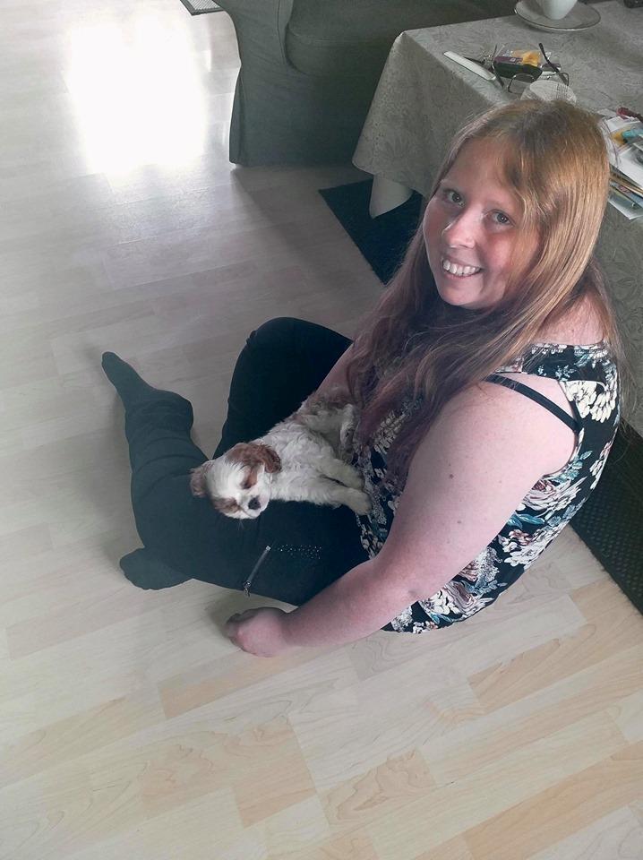 Cavalier king charles spaniel Team Hansen's New Creation (Kenzo) - Kenzo faldt i søvn hos mig efter han havde undersøgt huset. <3 billede 34