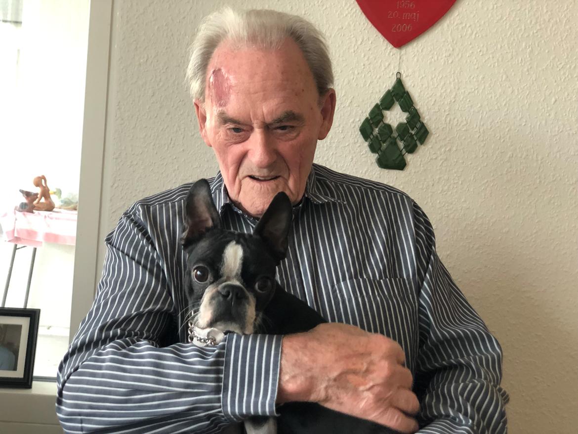 Boston terrier Naddie - Naddie besøger morfar på plejehjemmet <3 billede 3