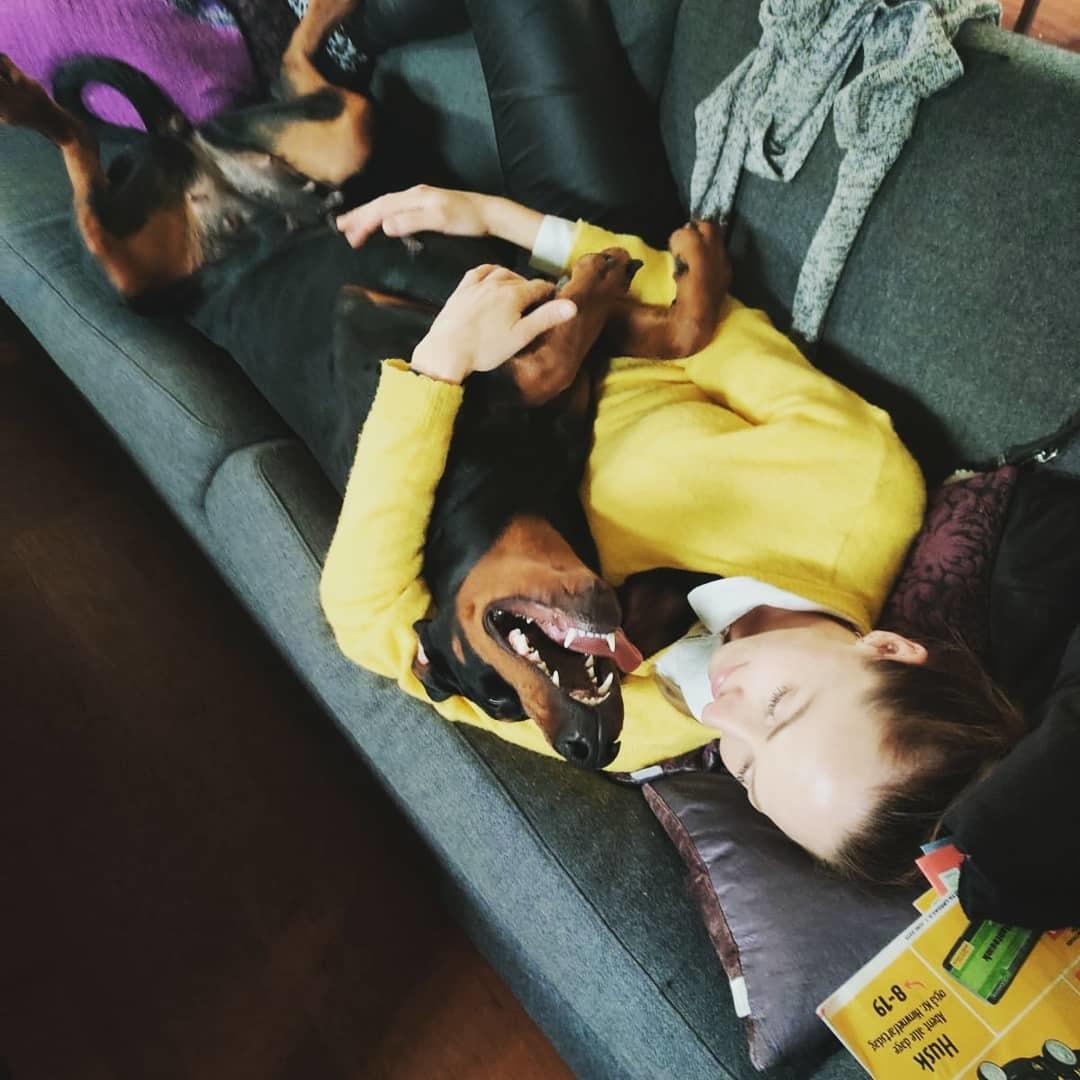 Dobermann Dobergaarden Forever Irish billede 11