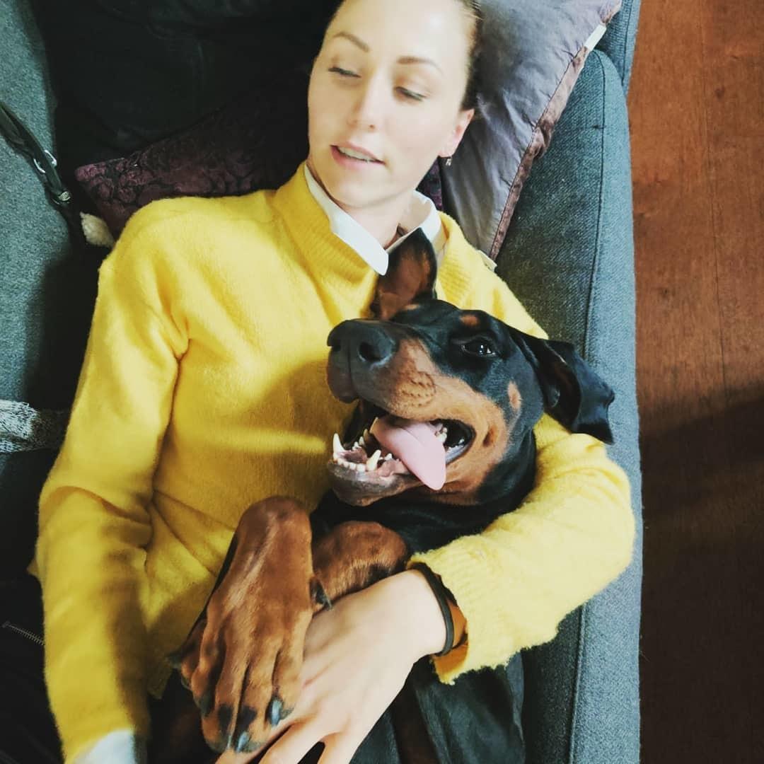 Dobermann Dobergaarden Forever Irish billede 1