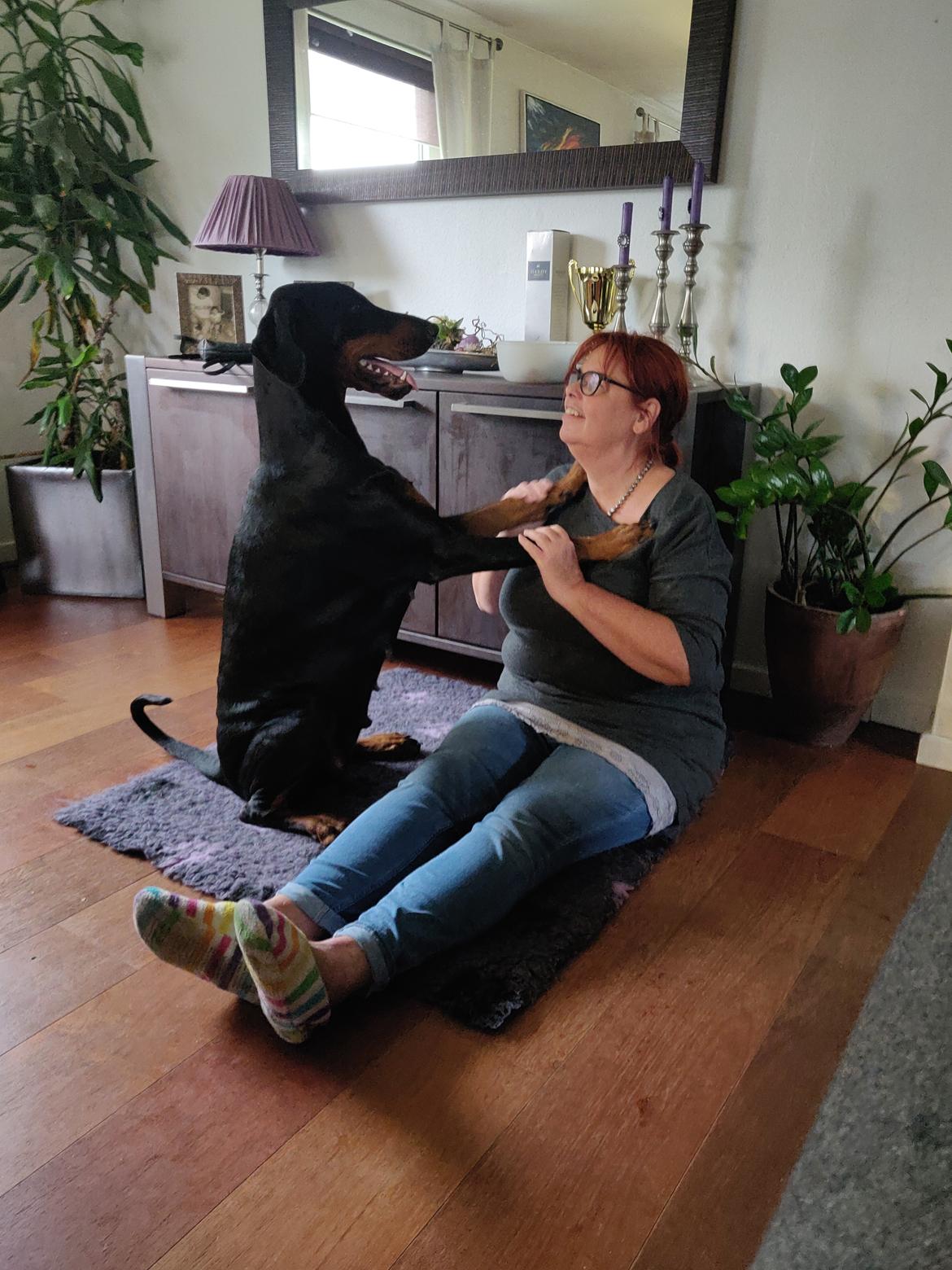 Dobermann Dobergaarden Forever Irish billede 13