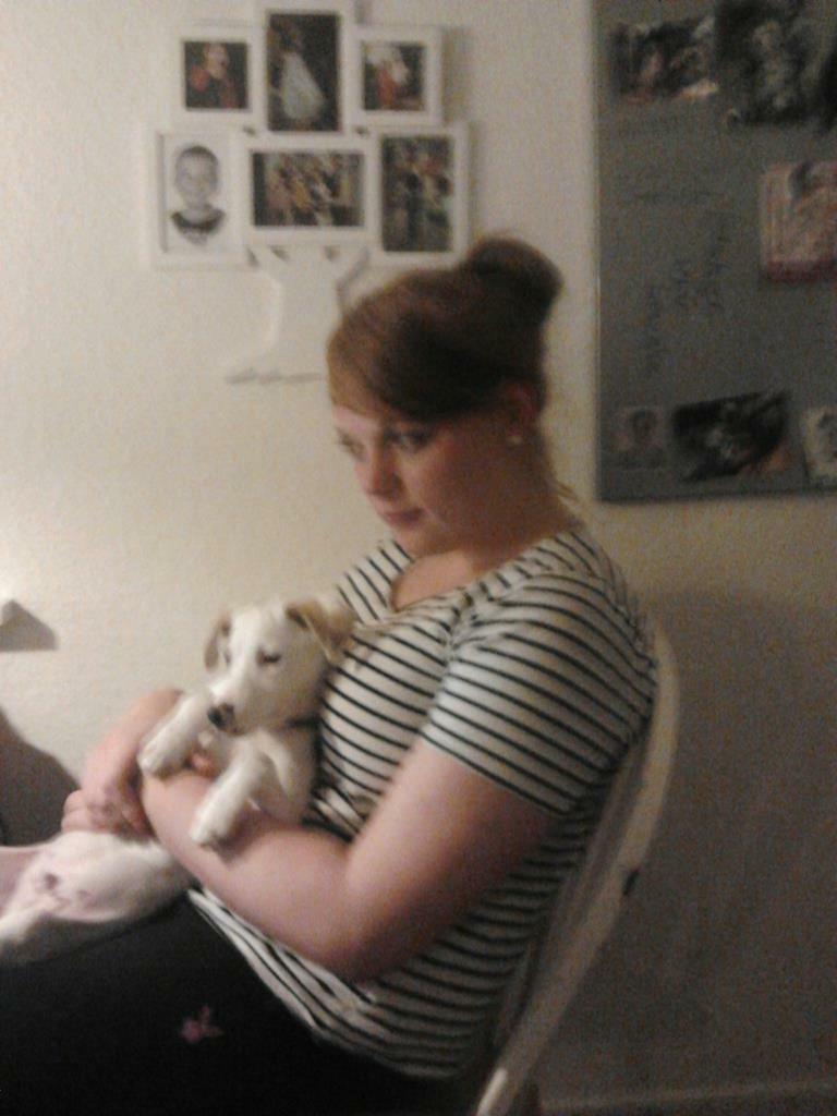 Dansk svensk gaardhund Zimba billede 21