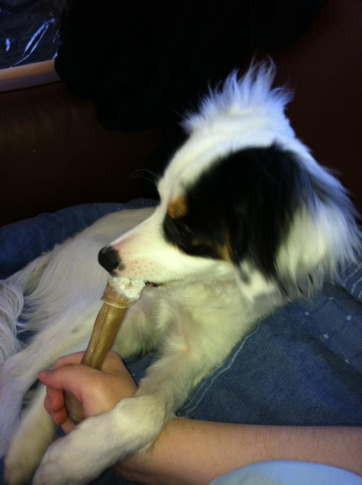 Blanding af racer Alex billede 12