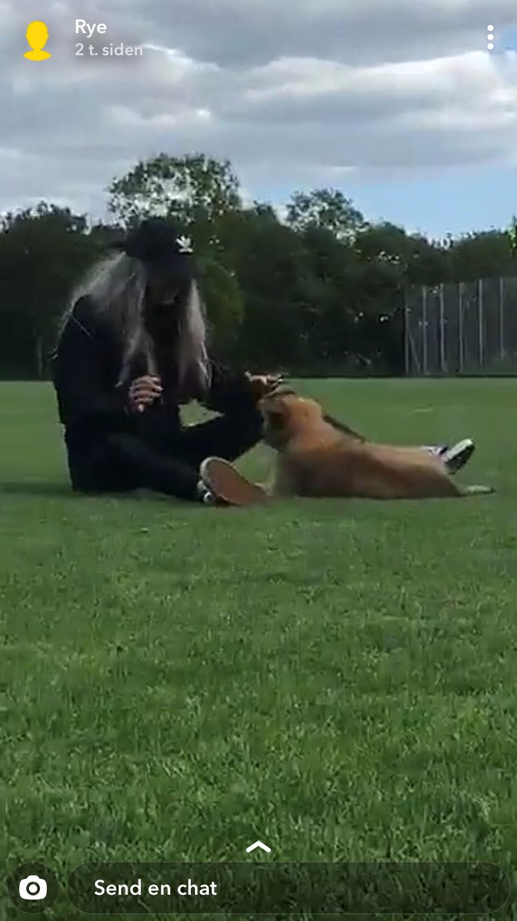 Blanding af racer Cassie billede 19