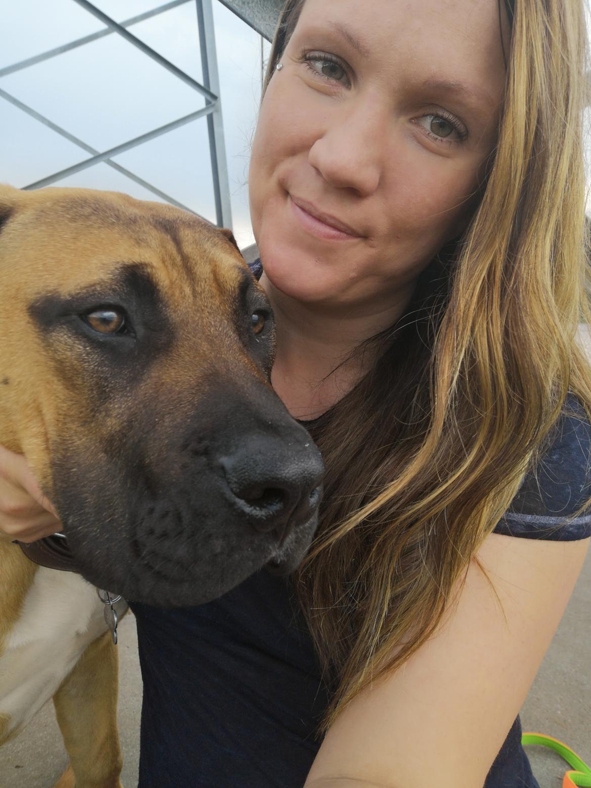 Dogo canario Bolek  billede 29