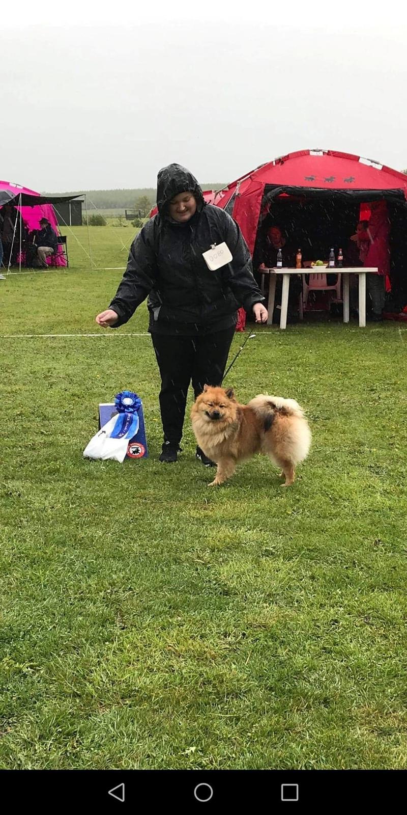 Mittelspitz Ajax billede 6