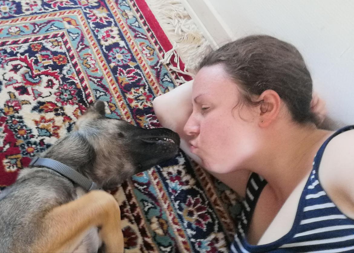 Kishu Amaterasu sai-no kawara billede 14