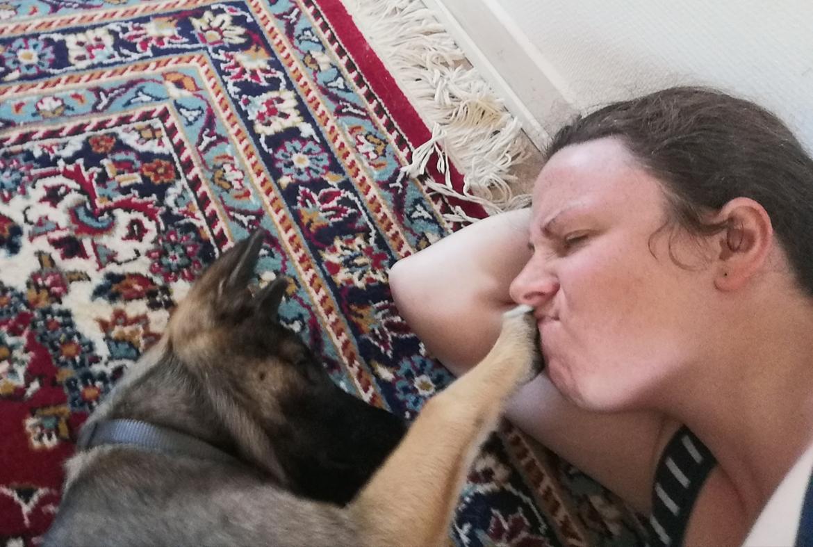 Kishu Amaterasu sai-no kawara billede 15