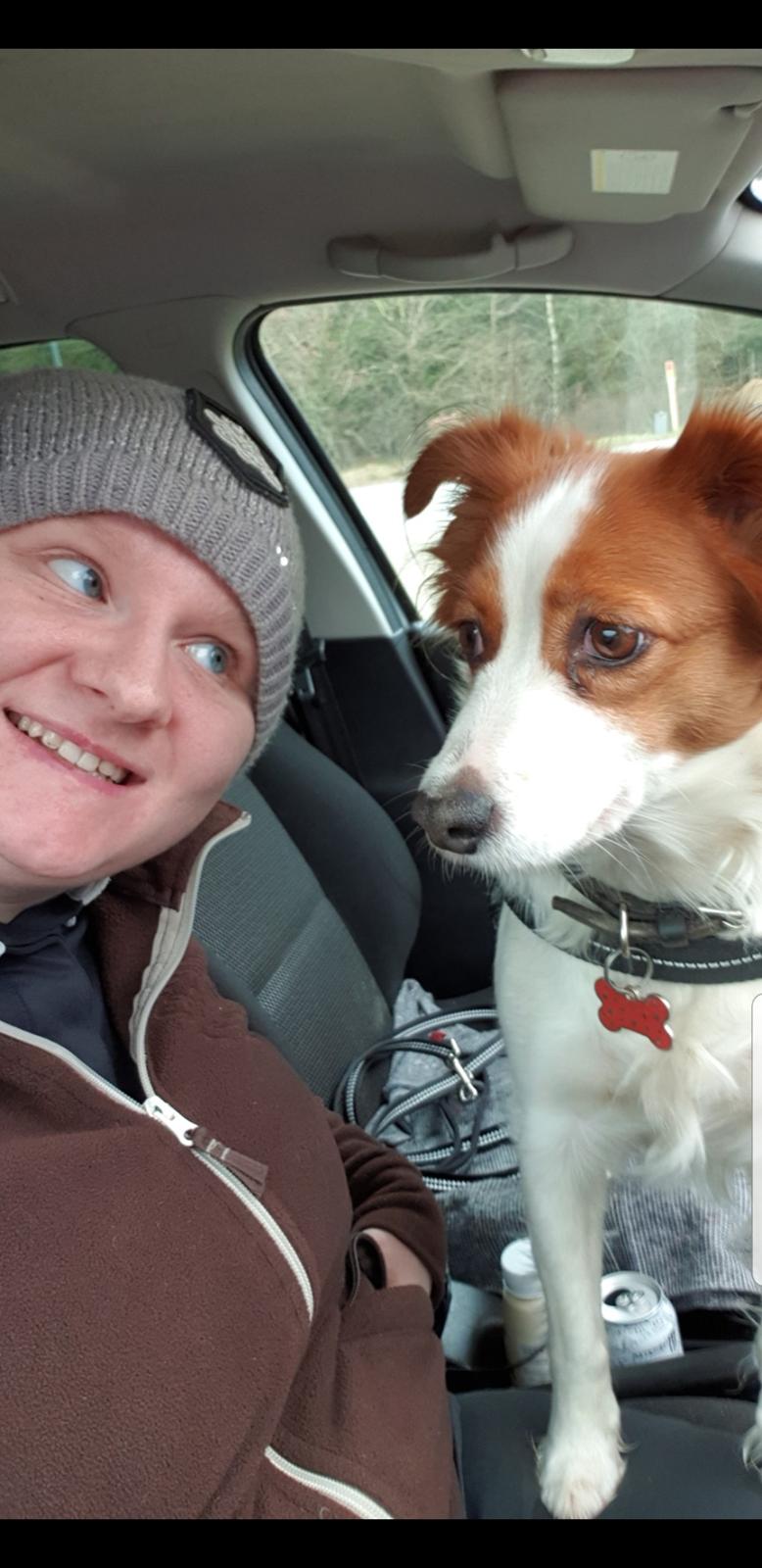 Kooikerhondje Clara billede 27