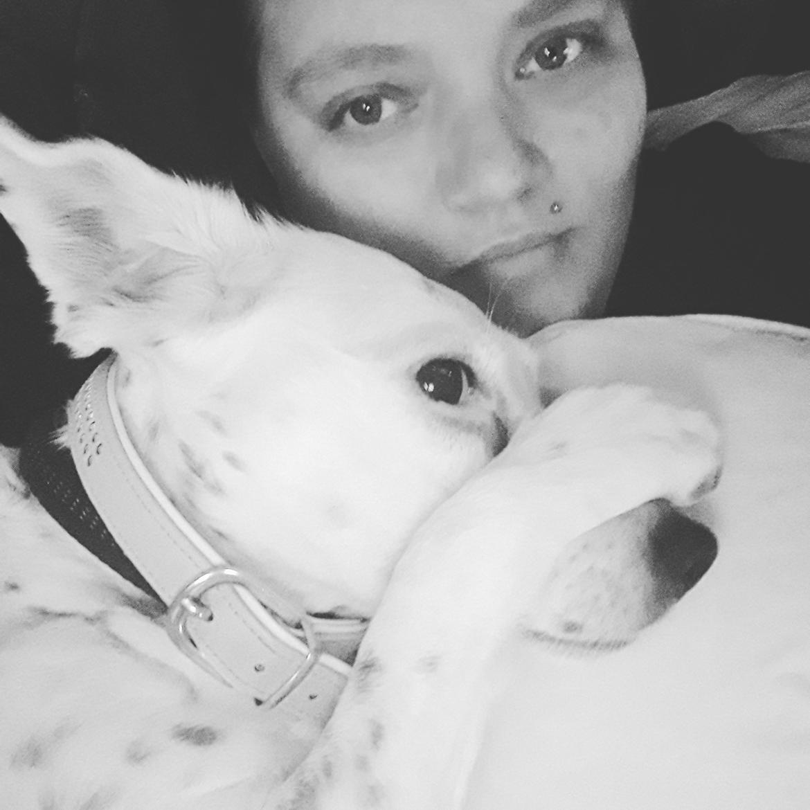 Blanding af racer Chili billede 10