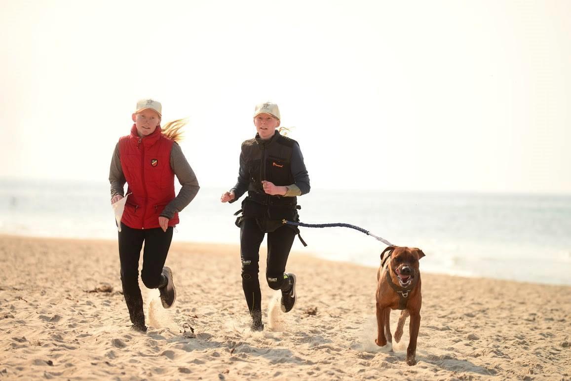 Rhodesian ridgeback Hazinas 7th Galactic  Cosmos "Sam"  - Dirty paws løb i Tisvilde d. 6 april 2019 billede 49