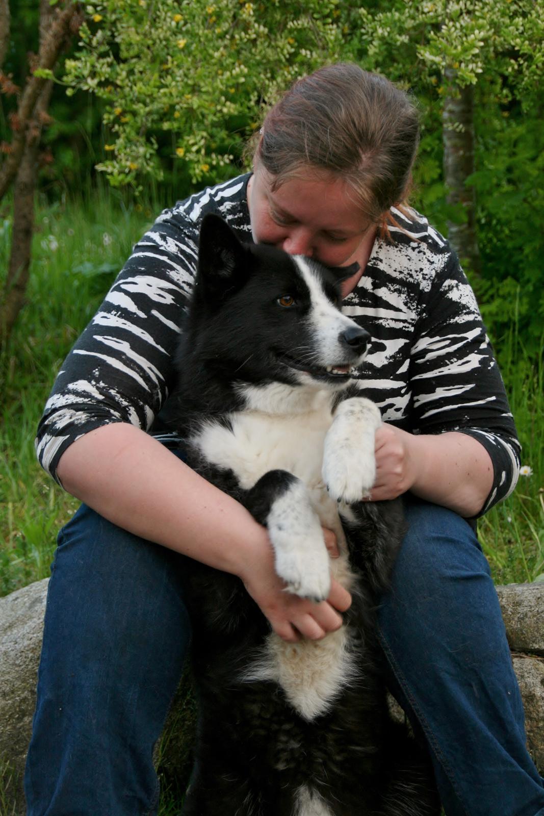 Karelsk bjørnehund Bjørnehusets Maika - Maikas 7 års fødselsdag billede 43