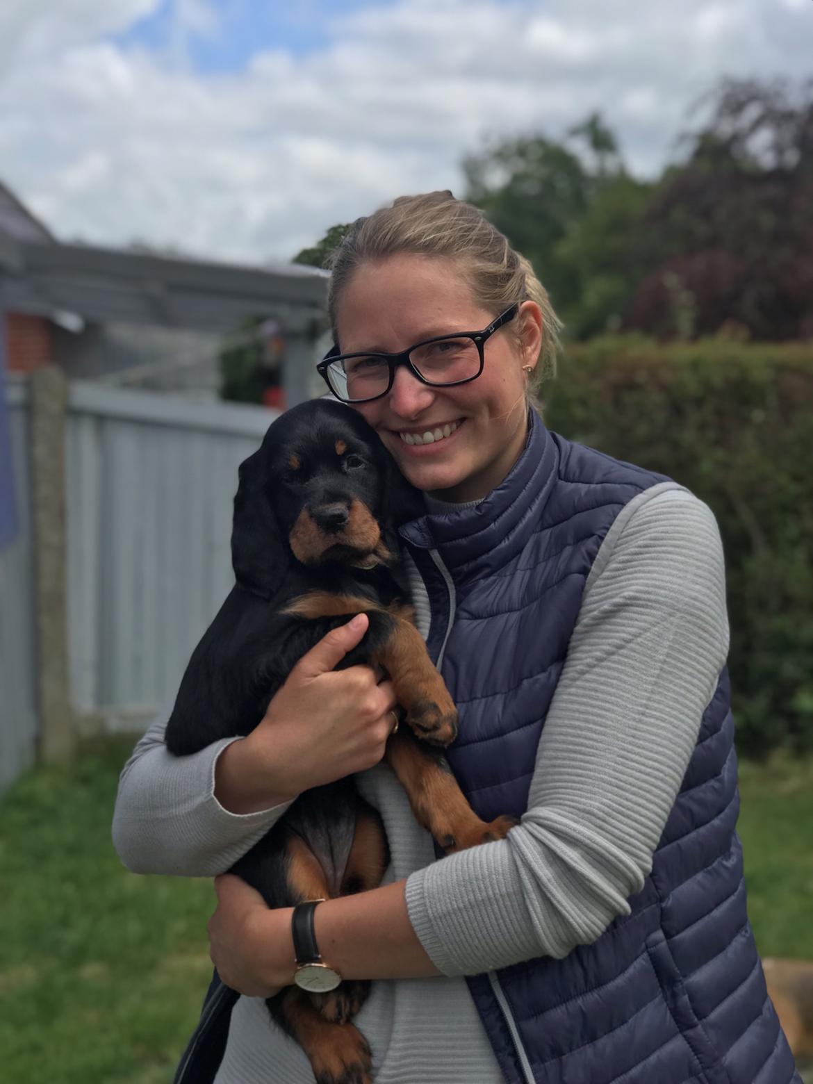 Gordon setter Syd åens Bianca billede 7