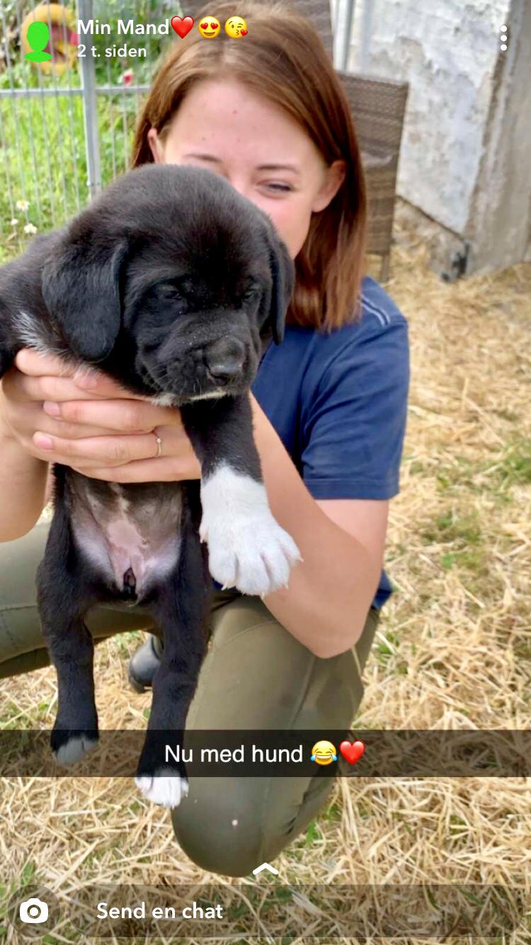 Blanding af racer Olivia billede 14