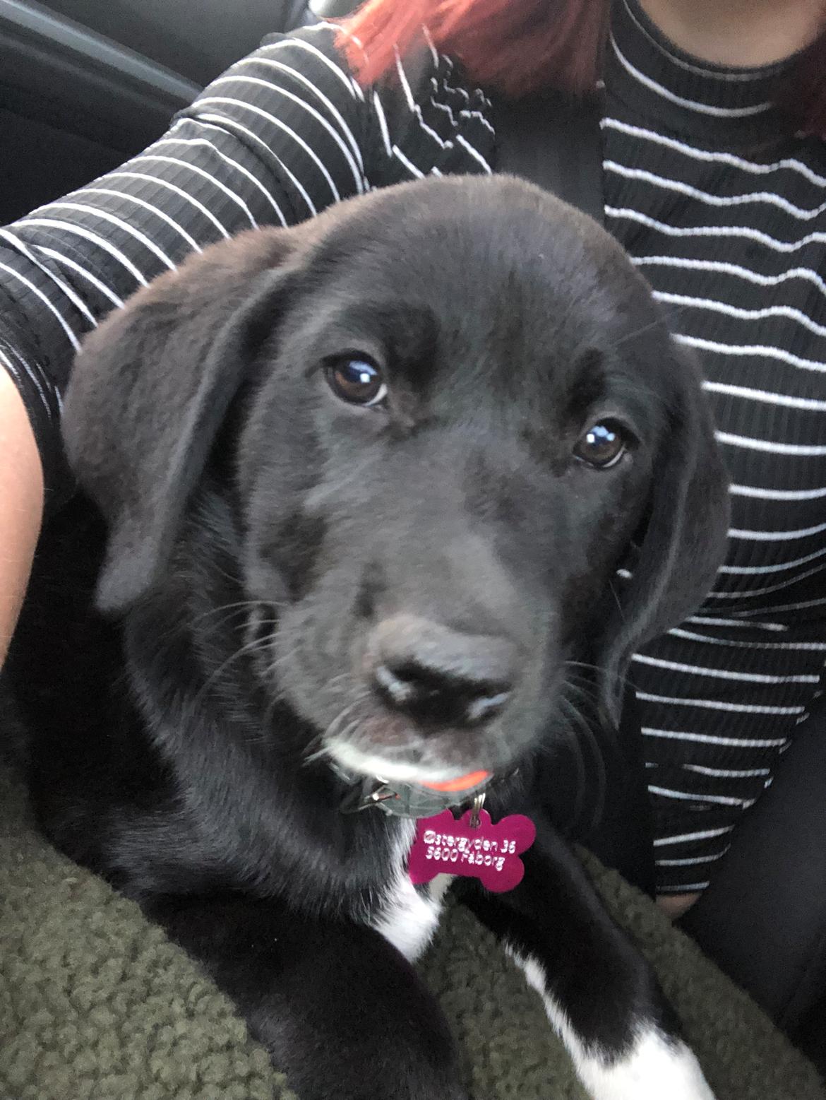 Blanding af racer Olivia billede 3