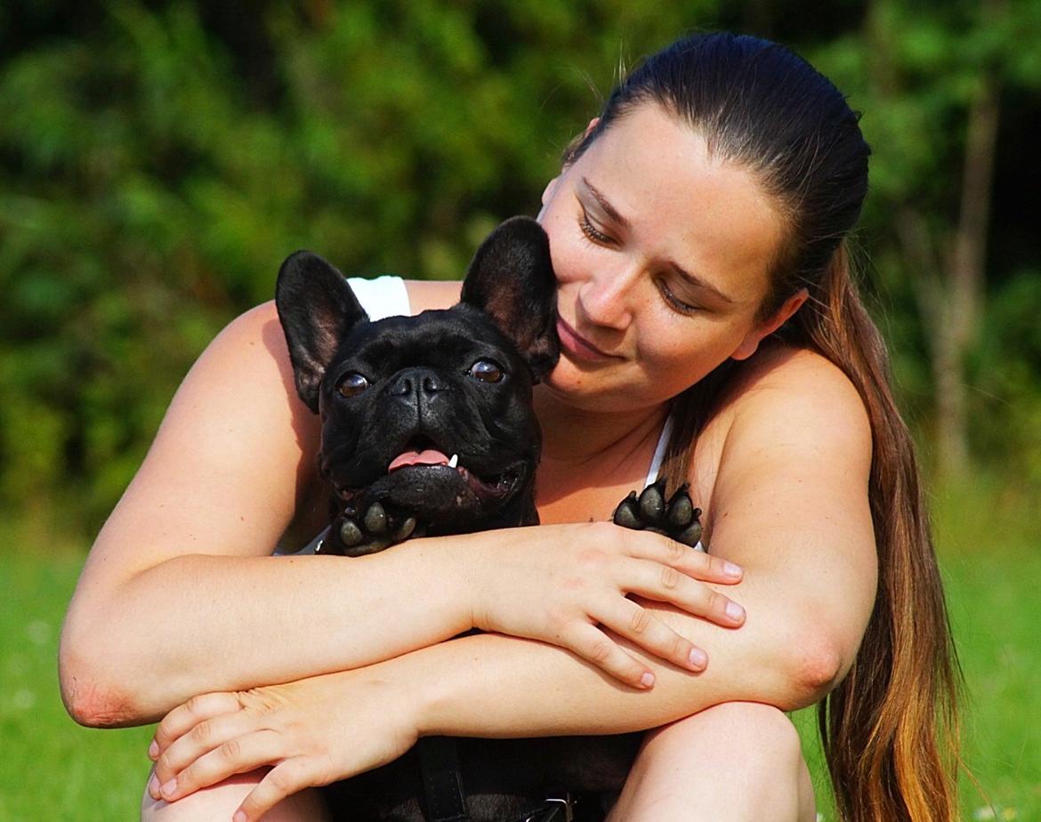 Fransk bulldog Sia billede 20