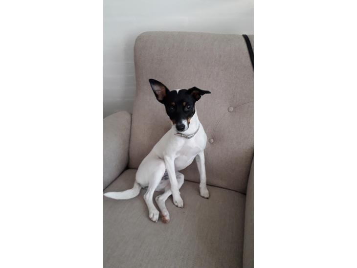 {{currentPhoto.altText}} billede {{currentPhoto.number}}