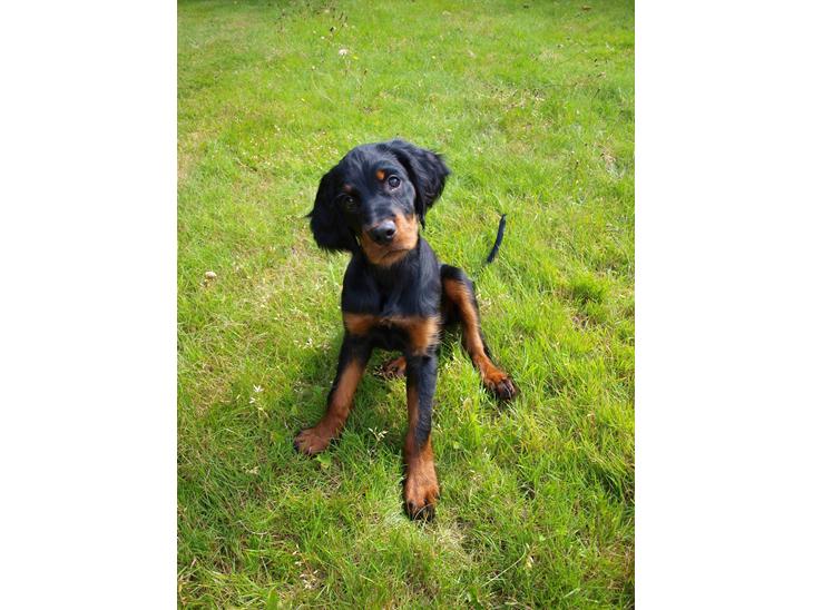 {{currentPhoto.altText}} billede {{currentPhoto.number}}