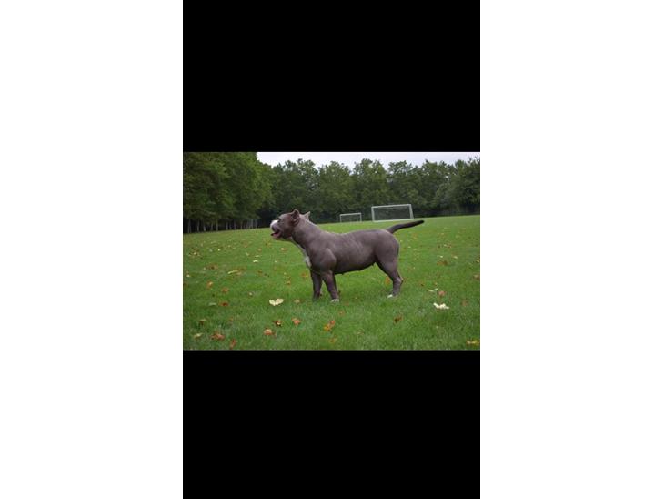 {{currentPhoto.altText}} billede {{currentPhoto.number}}