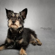 Blanding af racer Melanie