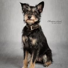 Blanding af racer Melanie