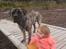 Perro de Presa Canario Diego - Qubera Recinto's Demon Hunter 