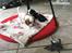 Cavalier king charles spaniel Malekits Turbo