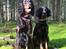 Gordon setter Øens Bellis - Bellis & Bianca 
