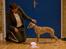 Whippet Bertram 