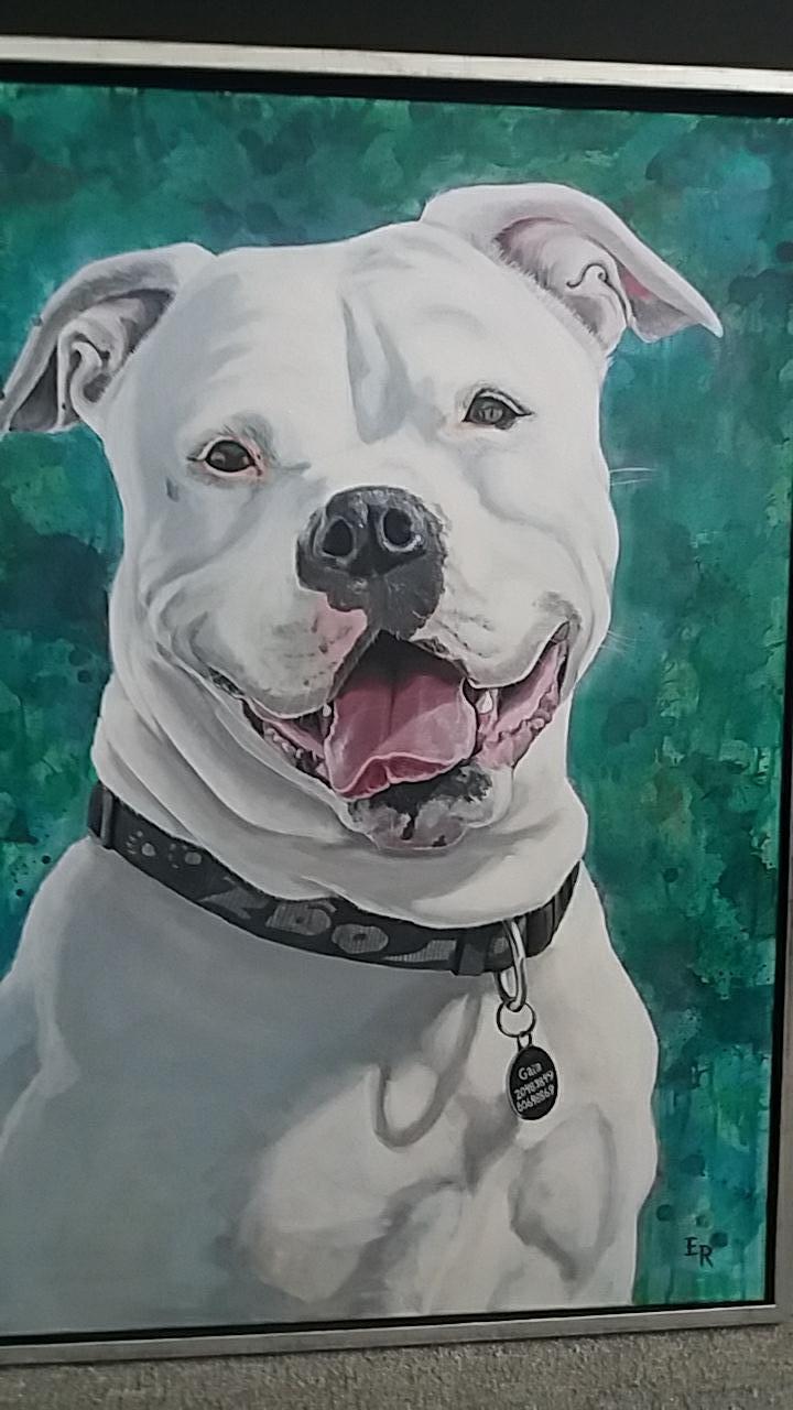 Amerikansk bulldog Kettners Esmeralda"Gaia" 11.03.2007-23.07.2019 billede 22