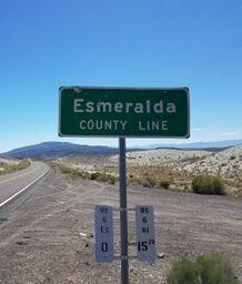 Amerikansk bulldog Kettners Esmeralda"Gaia" 11.03.2007-23.07.2019 billede 24