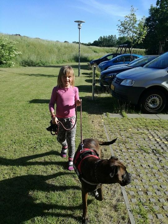 Boxer Kira (Passer) *RIP* billede 9