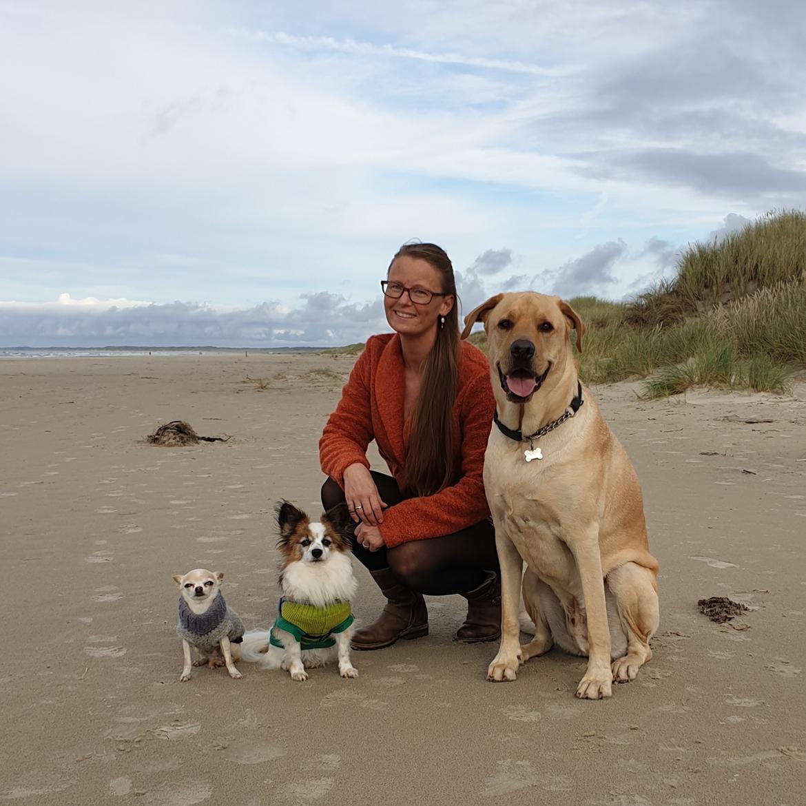 Blanding af racer Elvis *R.I.P* - Rødhus Strand oktober 2019 billede 50