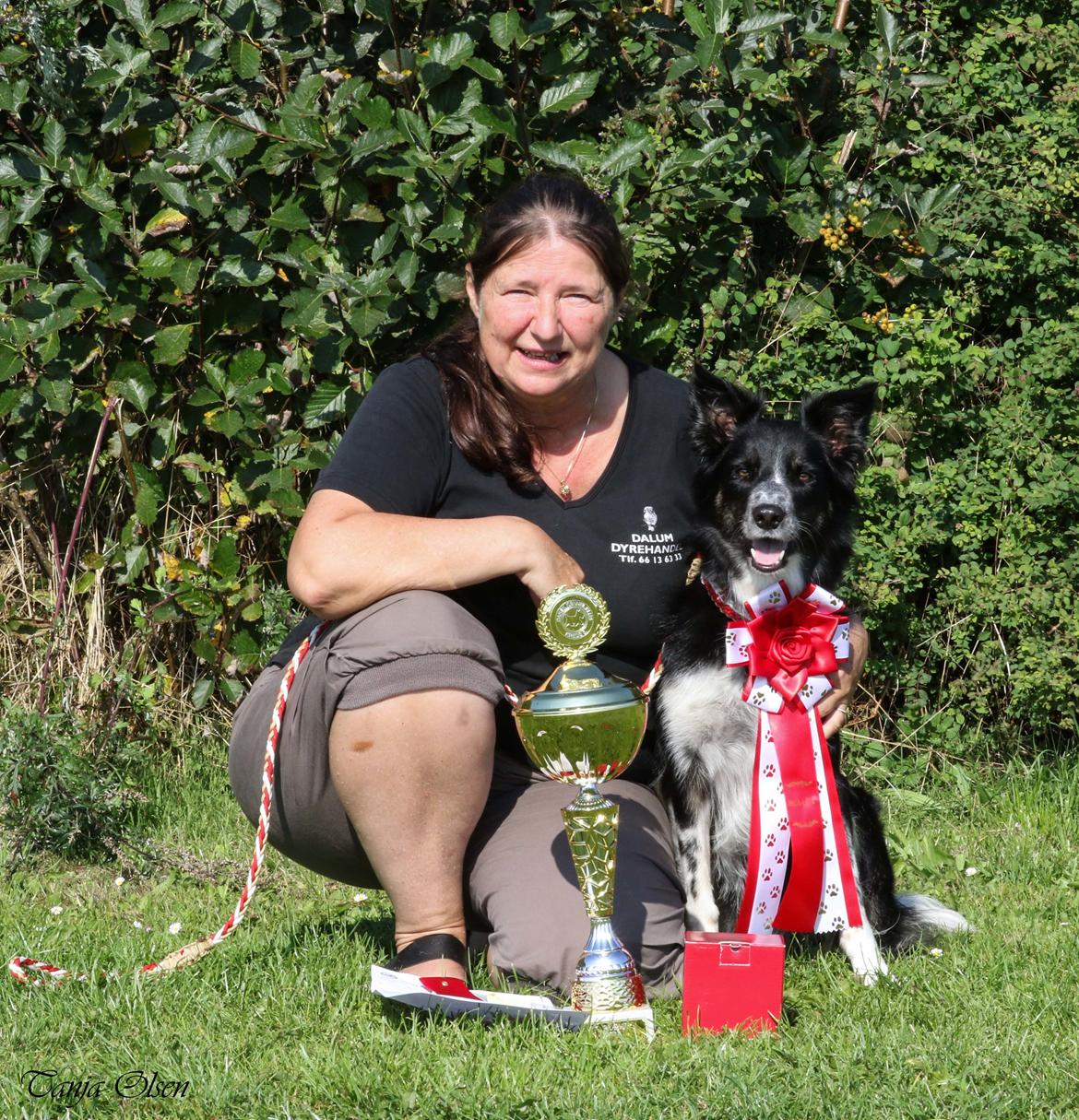 Border collie Skjernå Bordercollie Jill billede 46