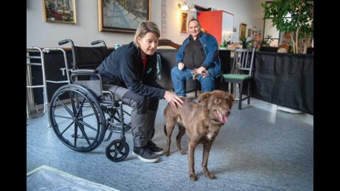 Blanding af racer Nuga ( Nom Tham ) billede 22