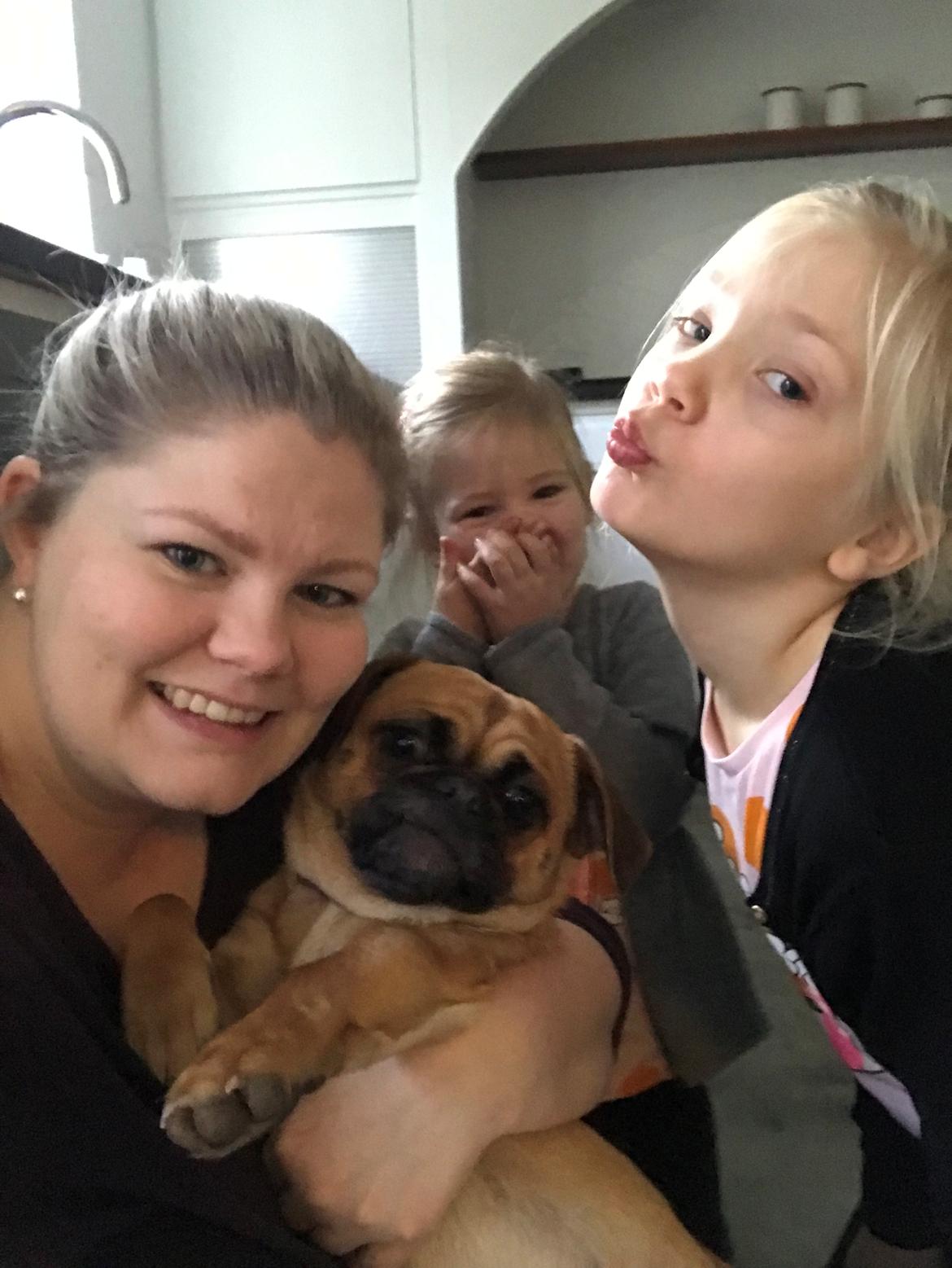 Blanding af racer Bodil (himmelhund) billede 19